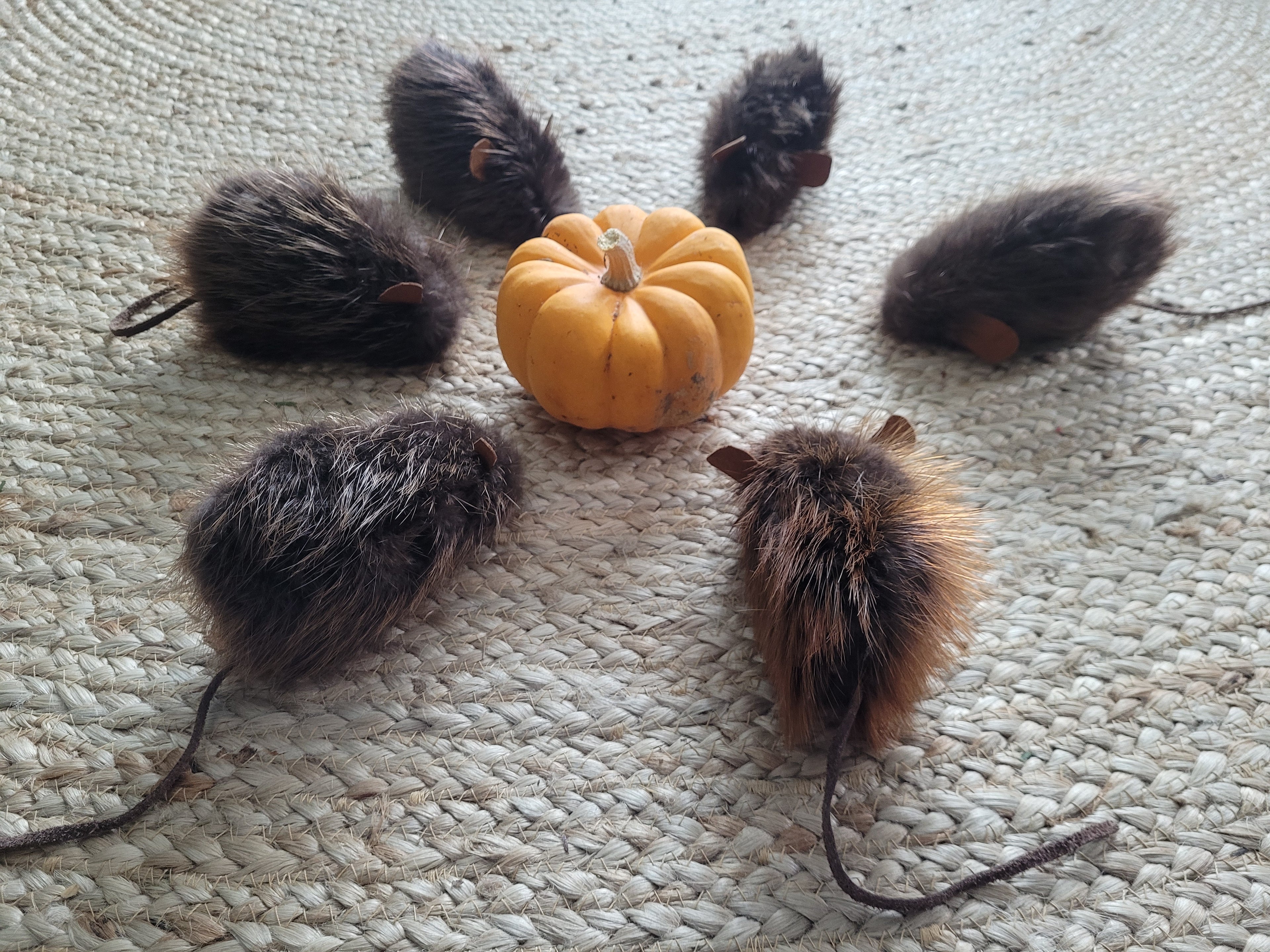 Beaver Fur Cat Toy