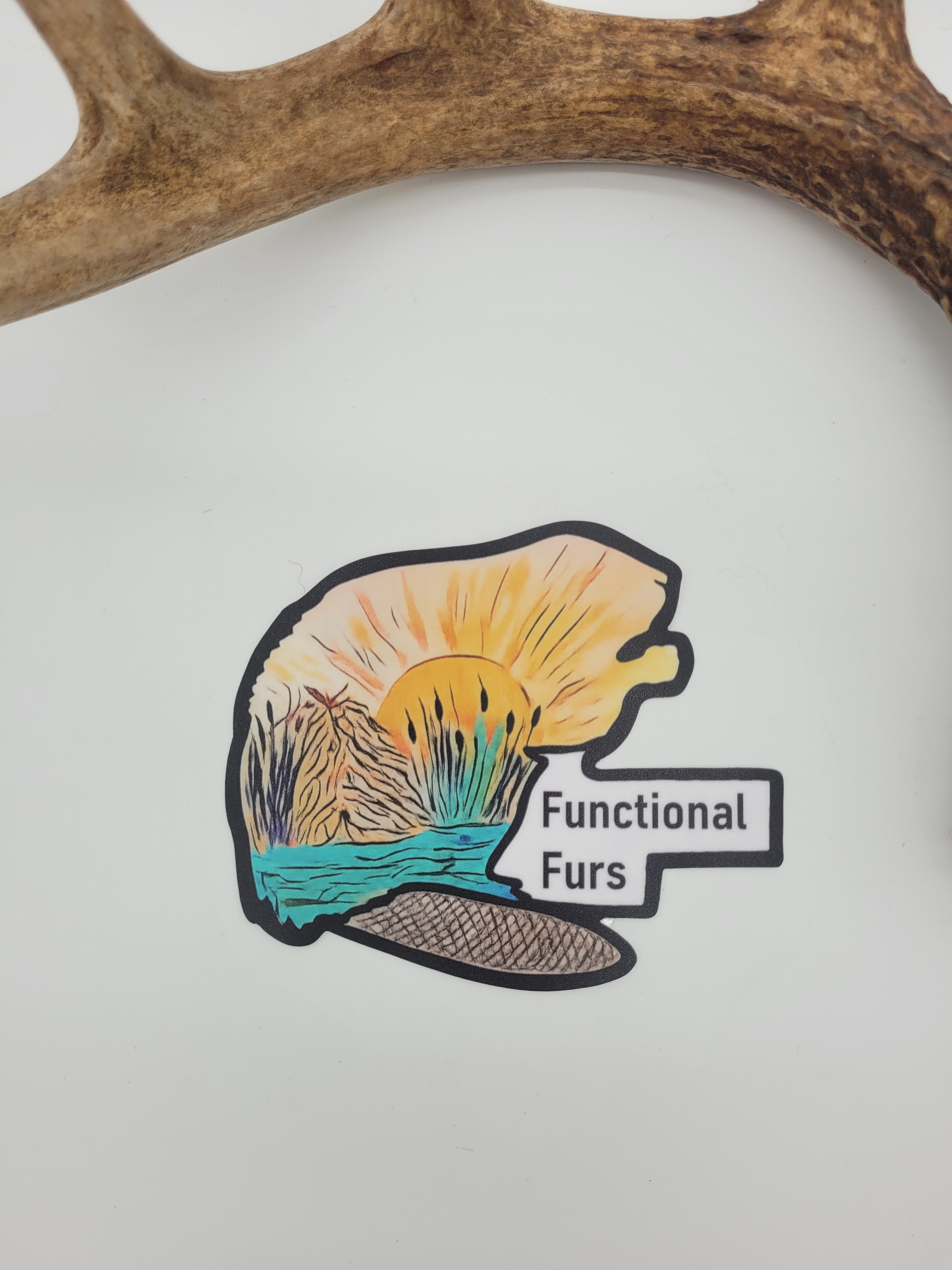 Beaver Landscape Sticker