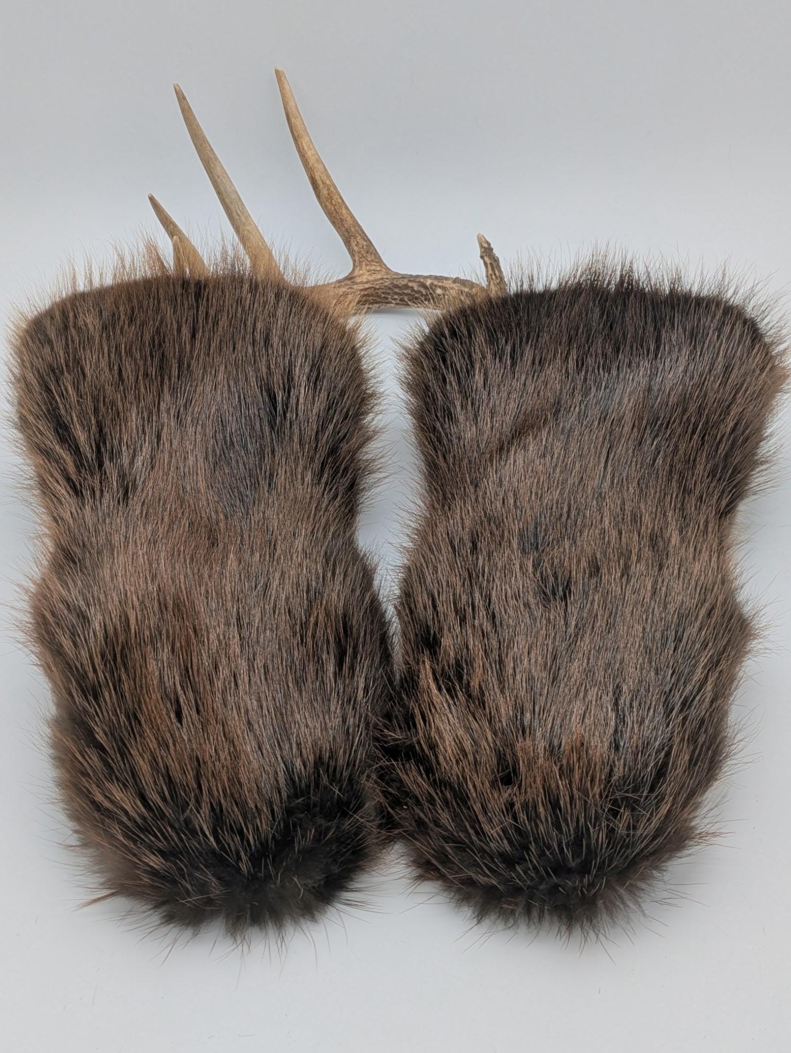 Beaver Gauntlet Mittens
