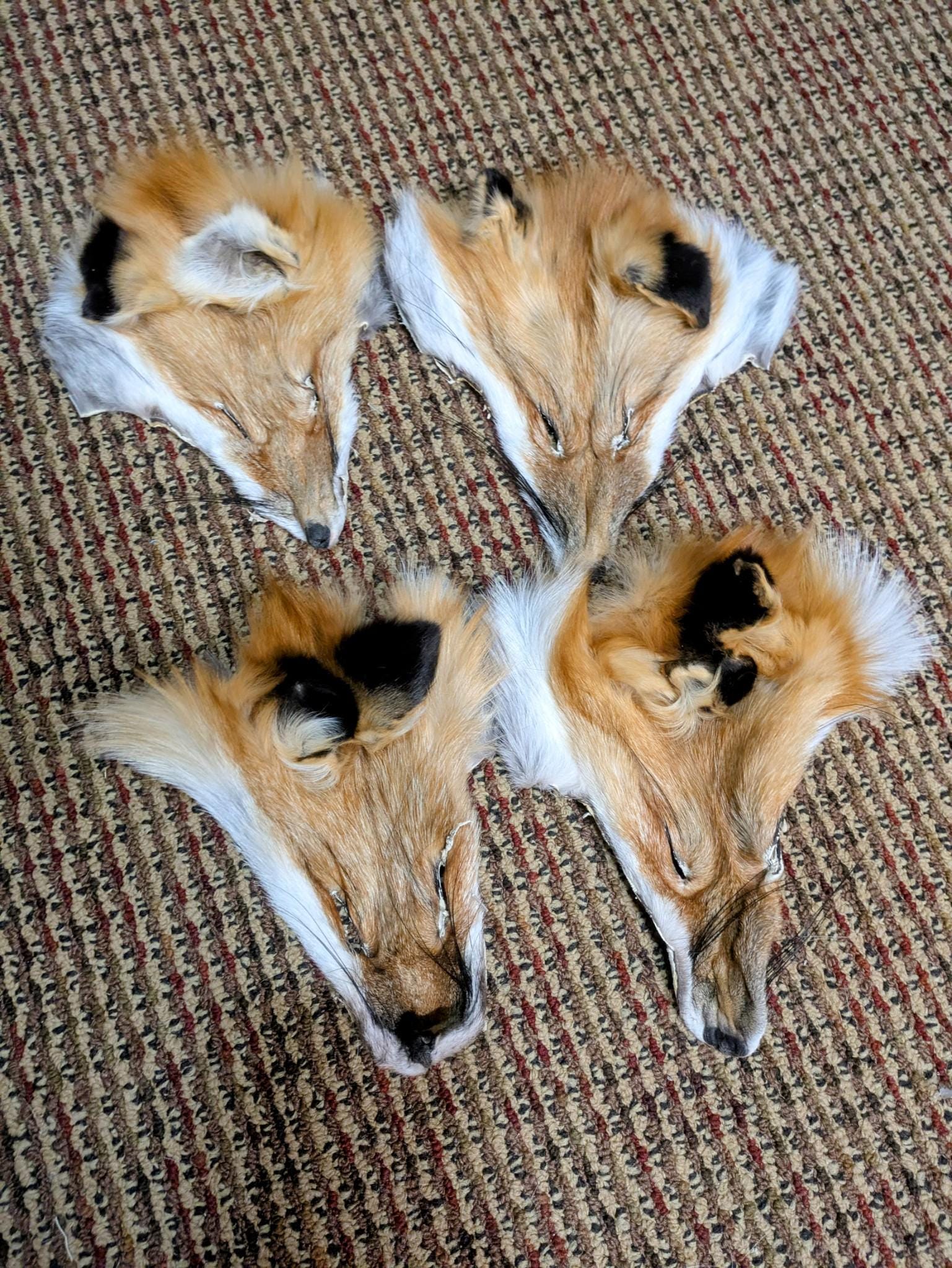 Authentic Fur Faces