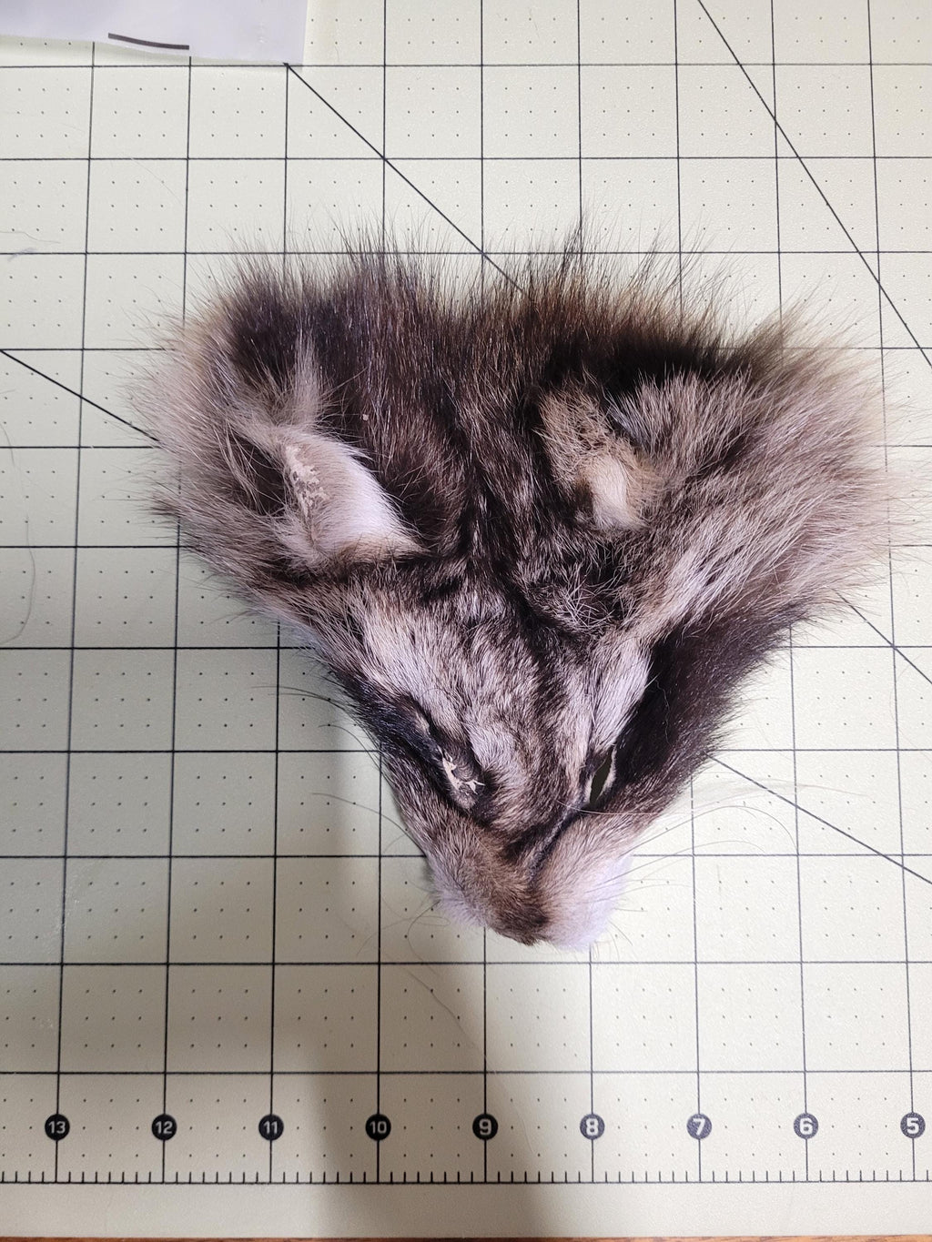 Authentic Fur Faces