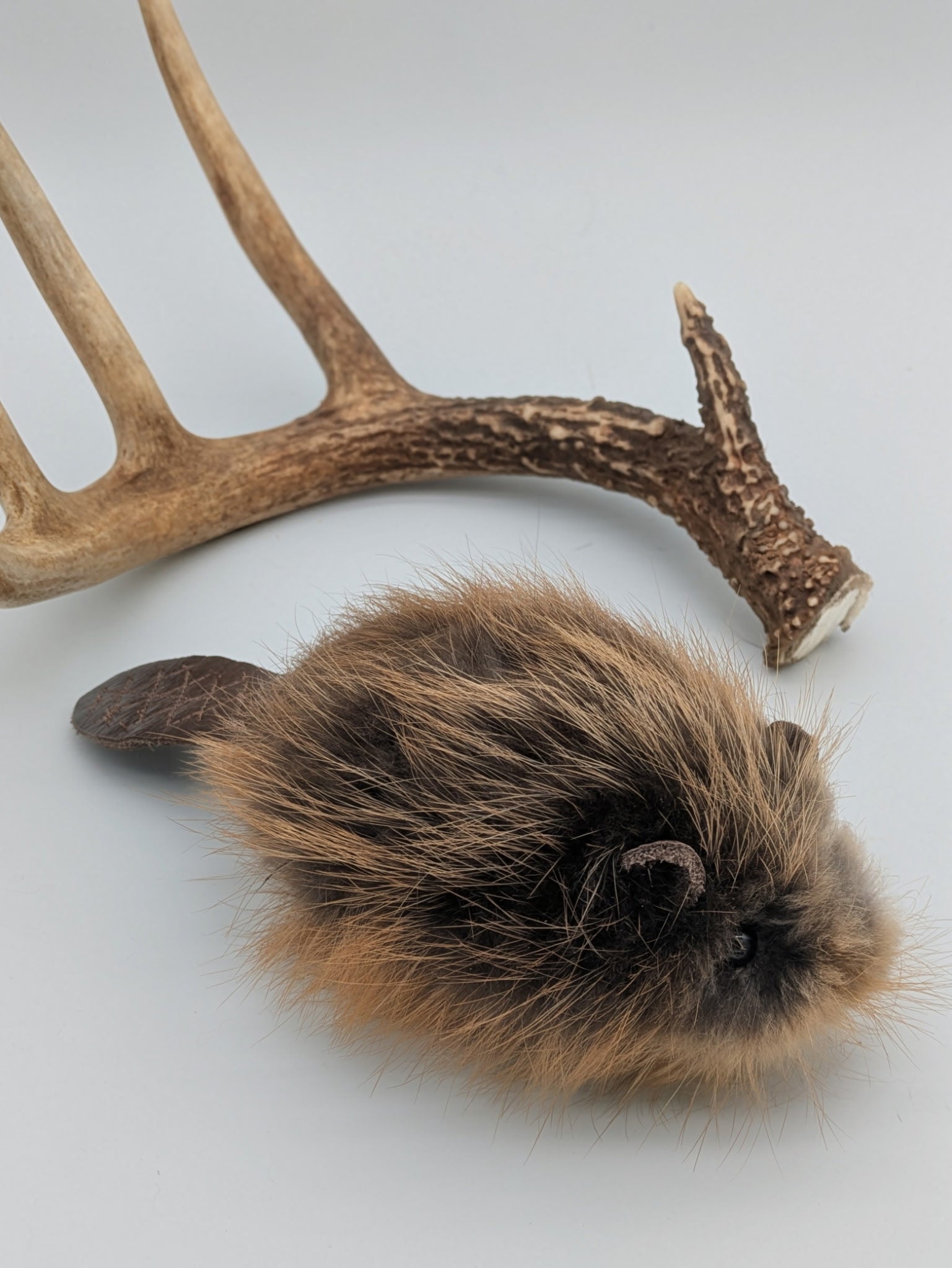 Beaver Stuffed Animal