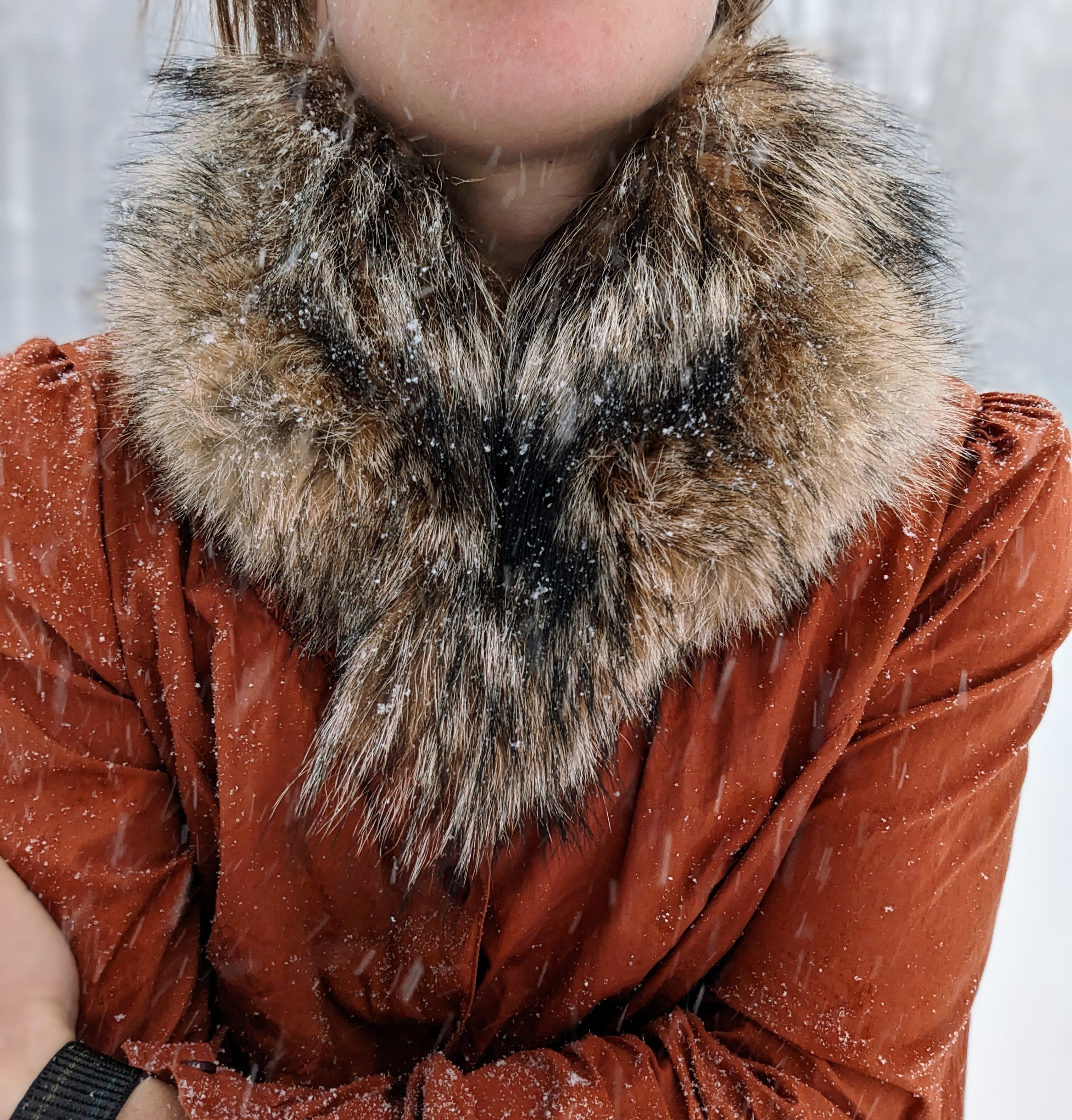 Coyote Collar Scarf