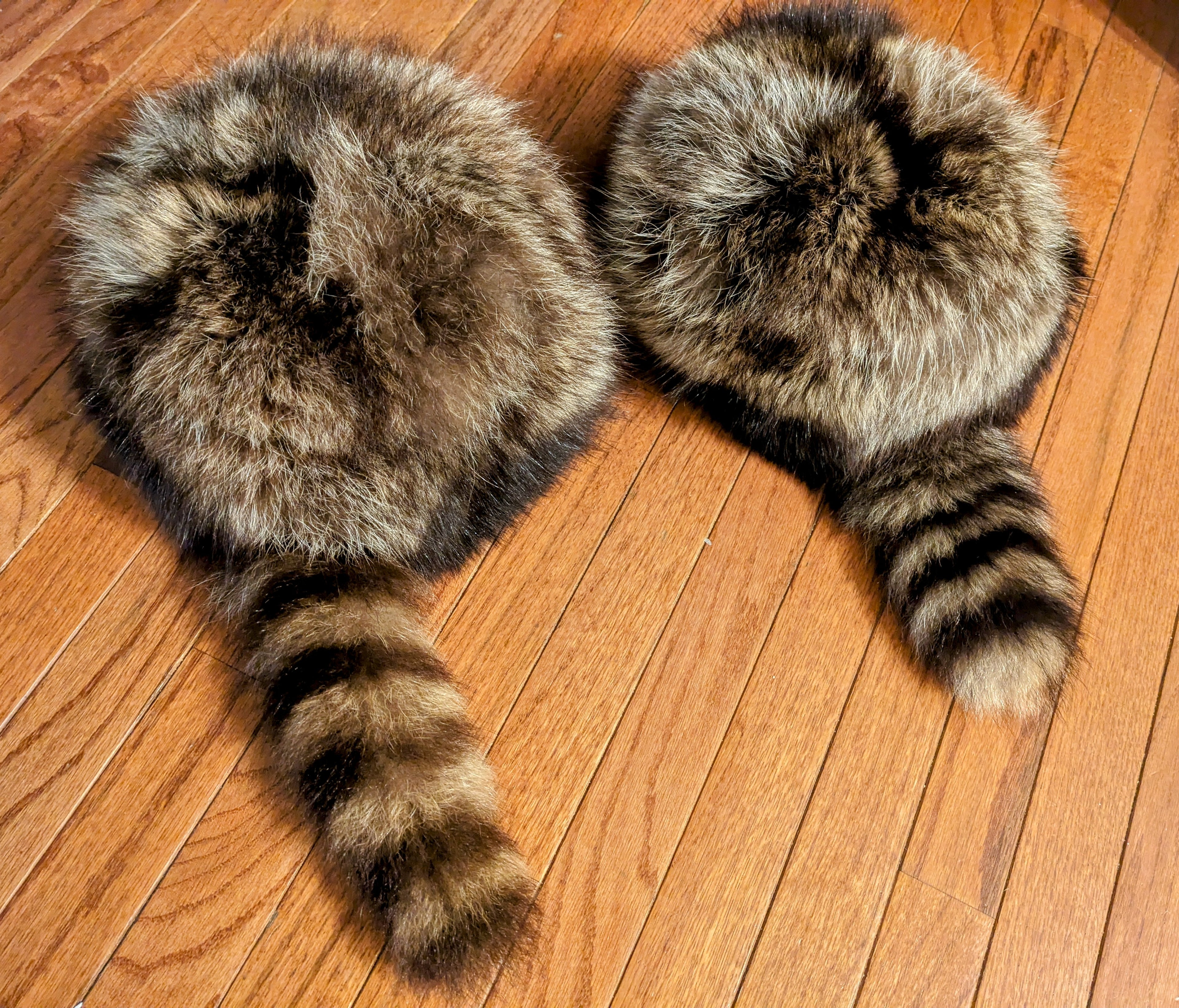 Davey Crockett Coon Skin Cap