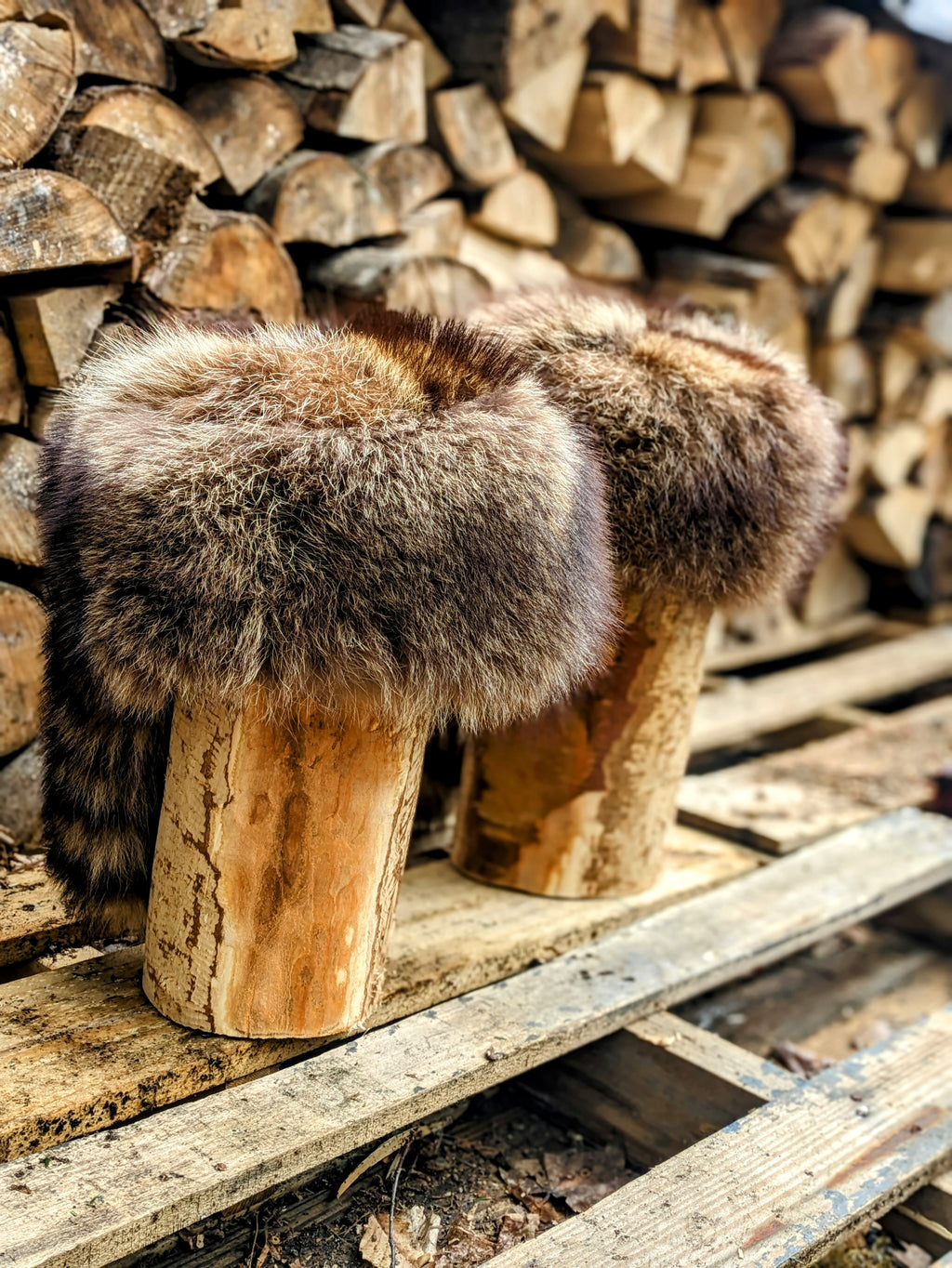 Davey Crockett Coon Skin Cap
