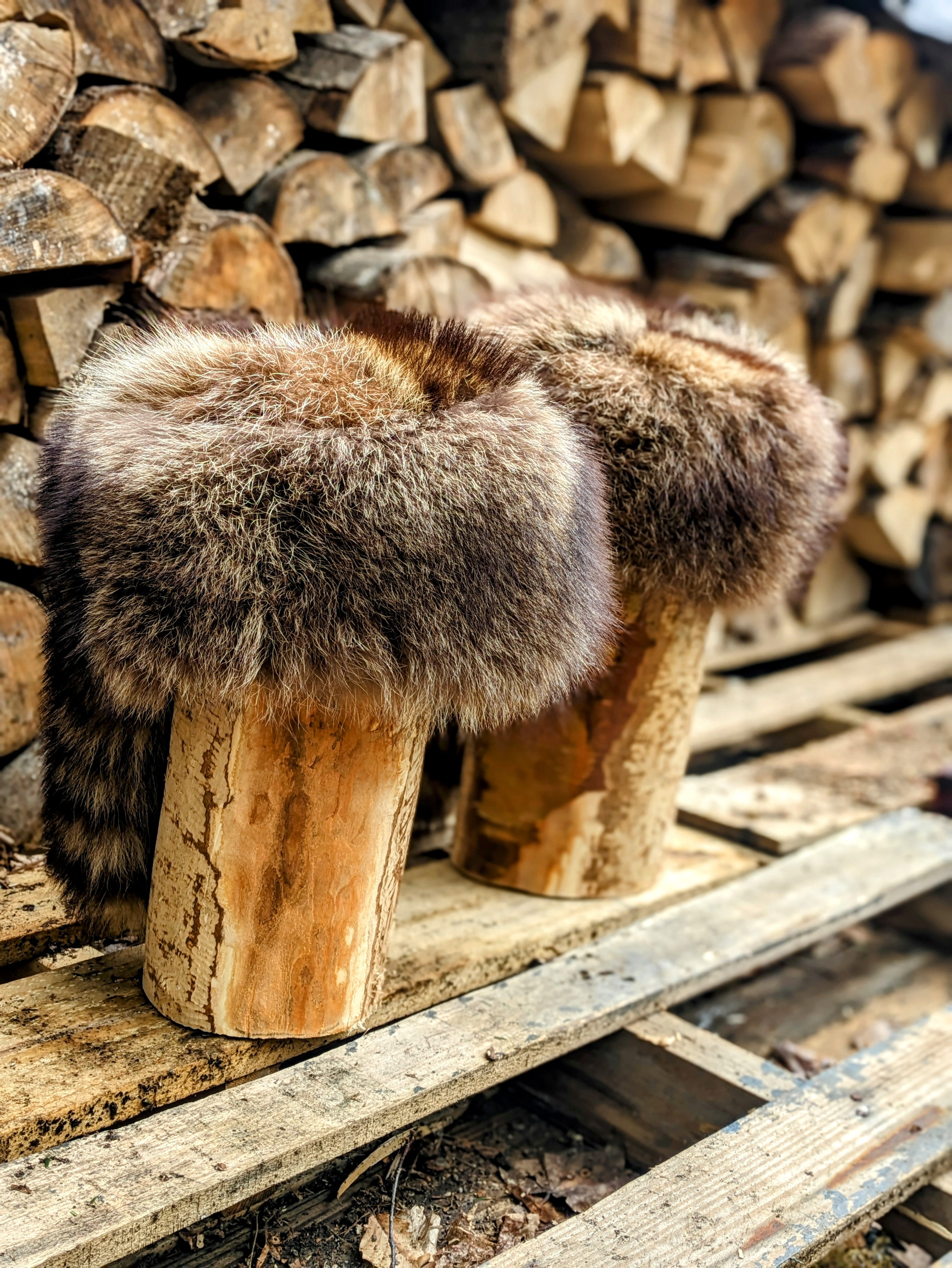 Davey Crockett Coon Skin Cap