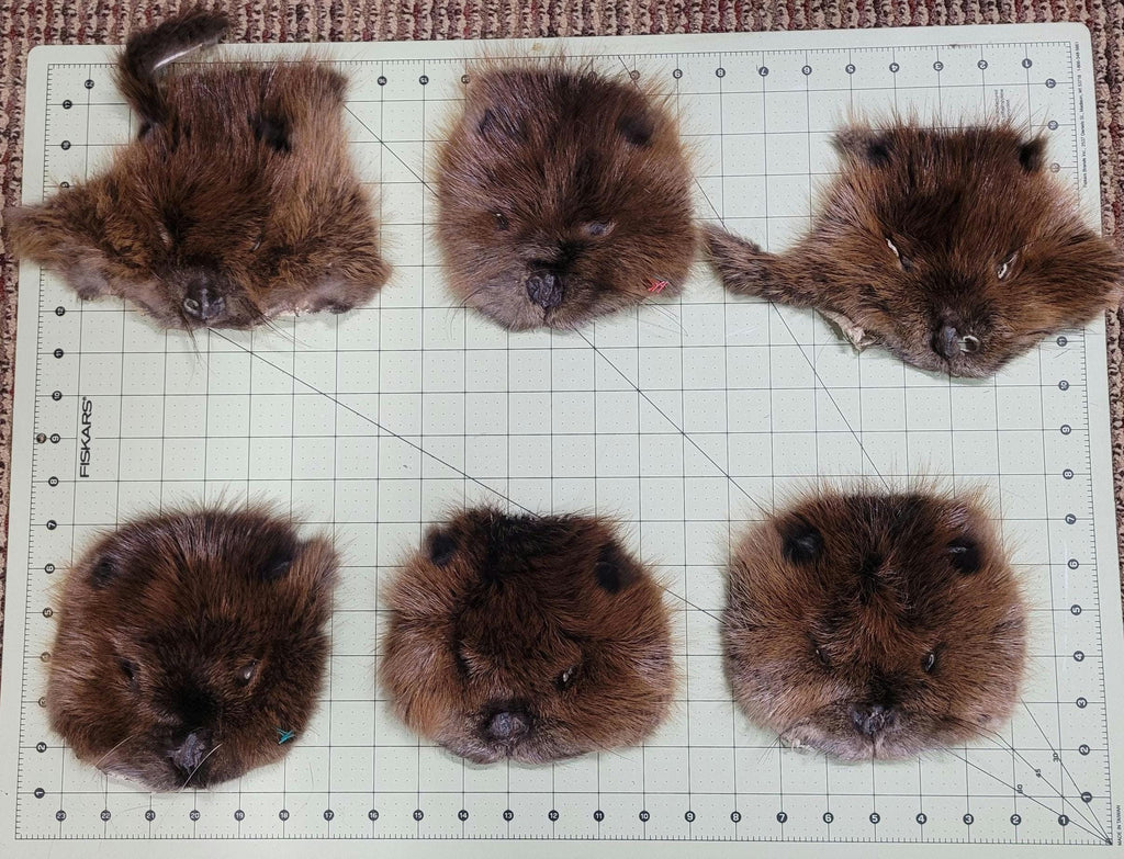 Authentic Fur Faces