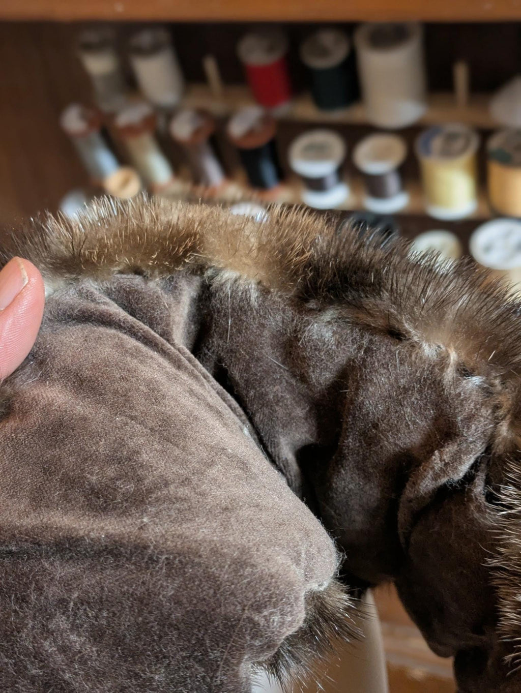 Otter Fur Headband