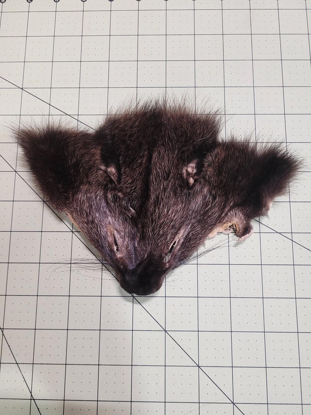 Authentic Fur Faces