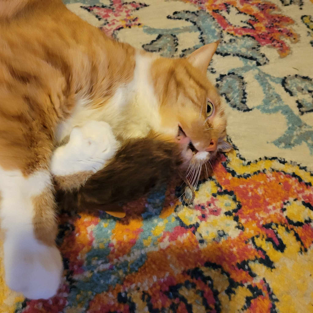 Beaver Fur Cat Toy